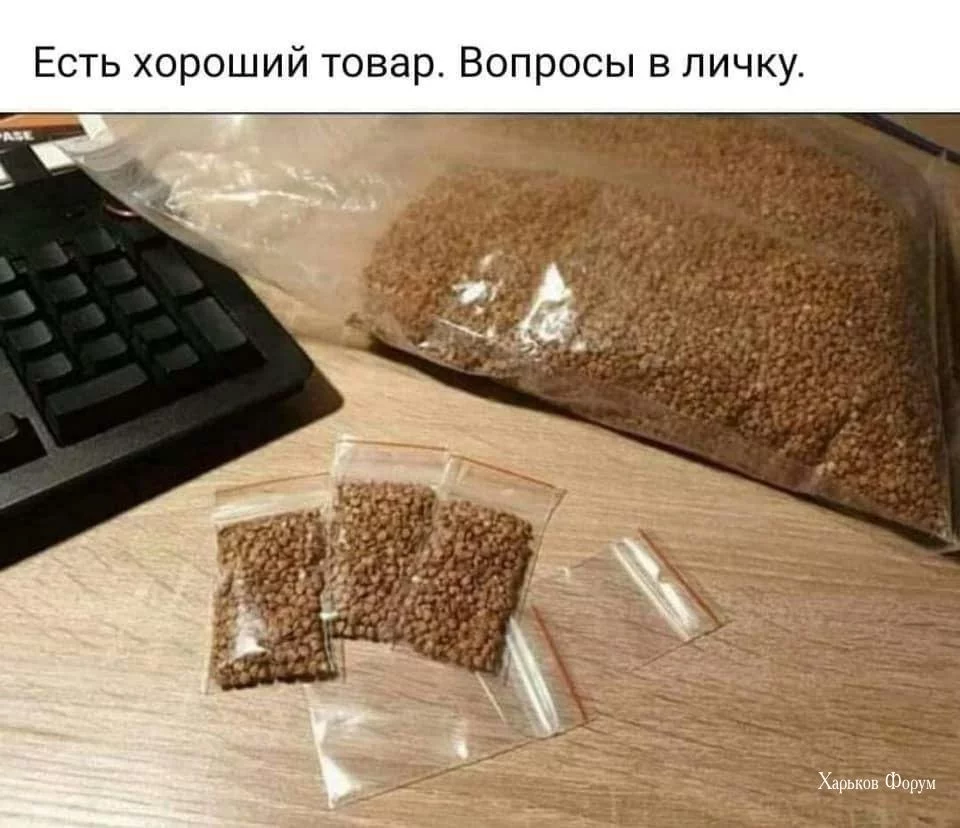 c238bd5226094f2d157146.webp