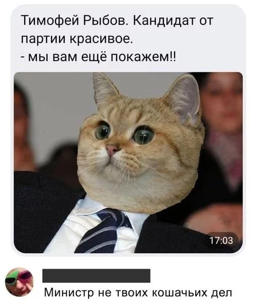 c239d2e141ca64e2e3.webp