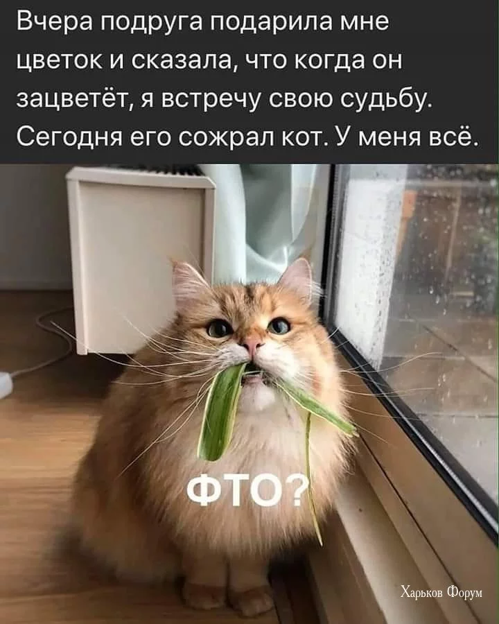 c242bc115b5dc21c2559586d.webp