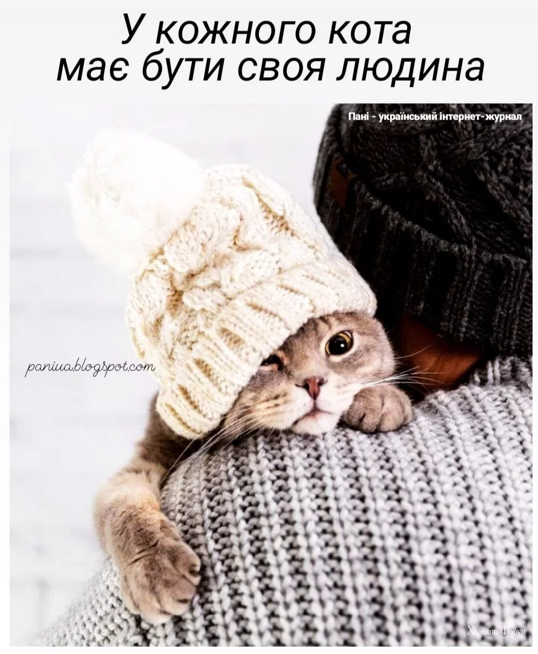 c25495d9e15beb3a0.webp
