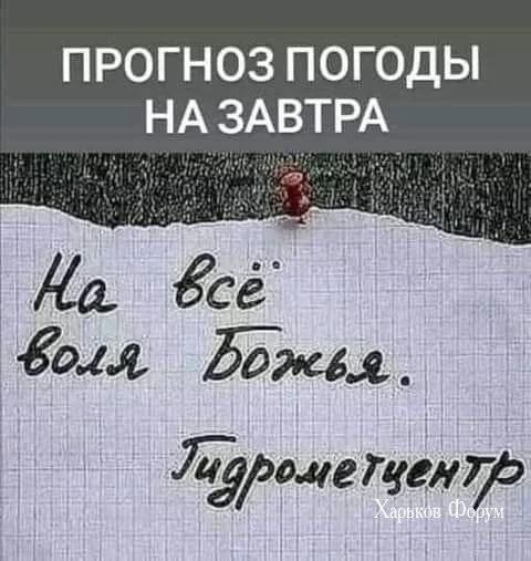 c265ec103074e7d4a.webp