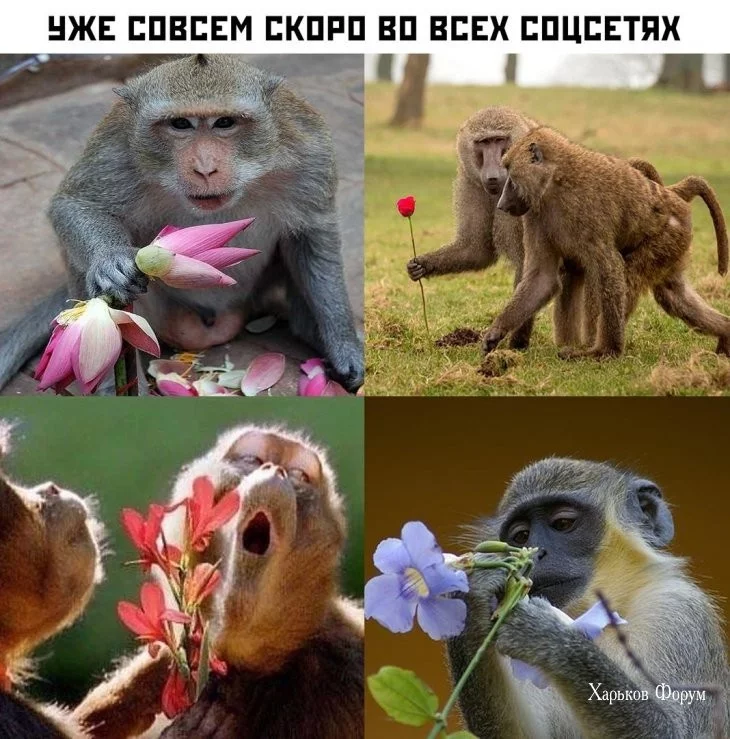c26af390604b16fc9b.webp