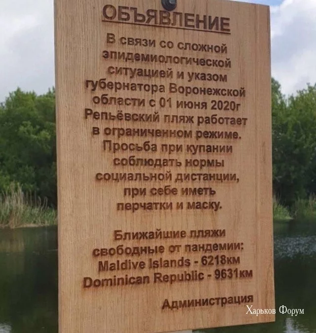 c26e501680b2875e.webp