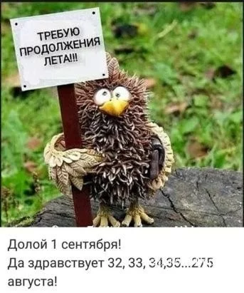 c2807330af0662e4da.webp