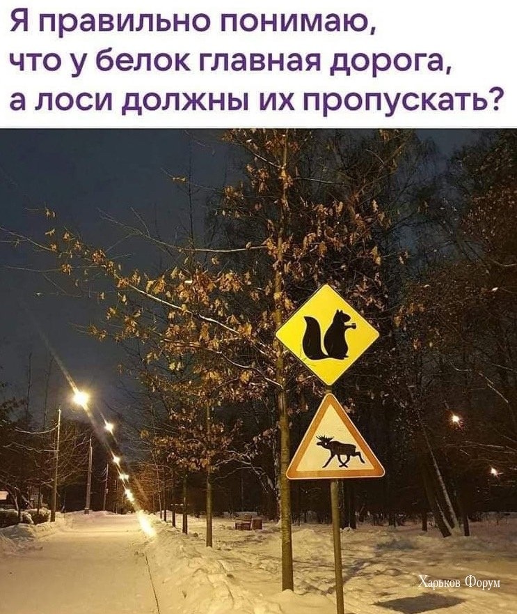 c28c789df0138c80b4da062.jpg