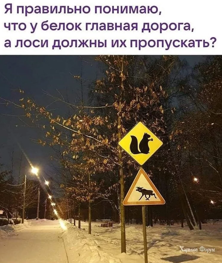 c28c789df0138c80b4da062.webp