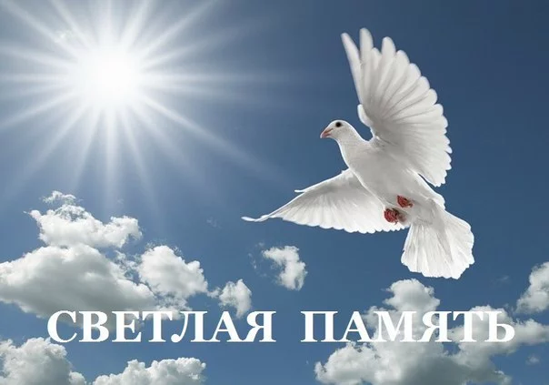 c2abde.webp