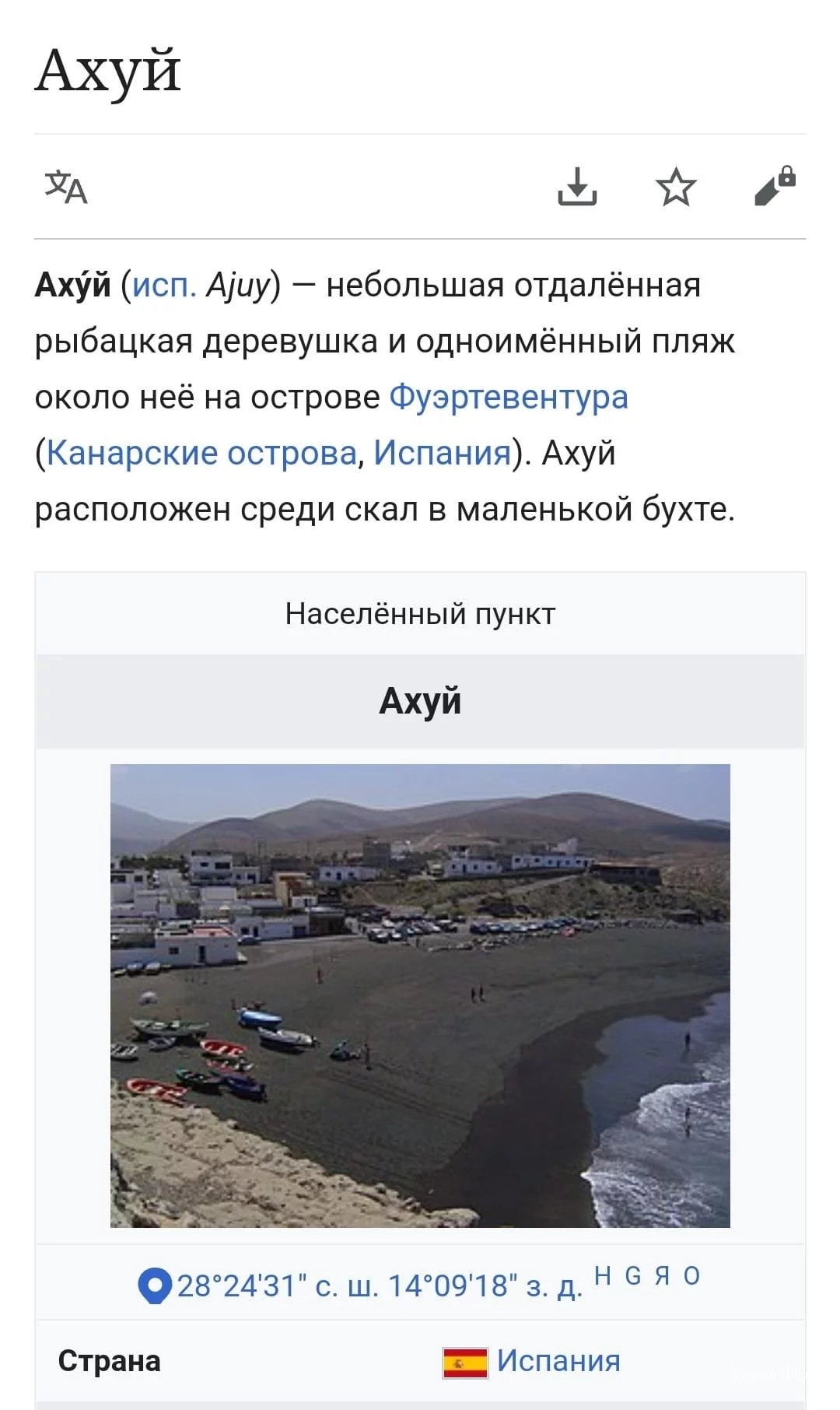 c2c0332a2d50949e315.webp