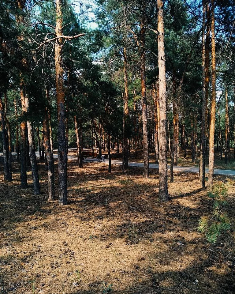 c2cgdg.webp