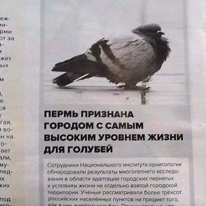 c2dead.webp