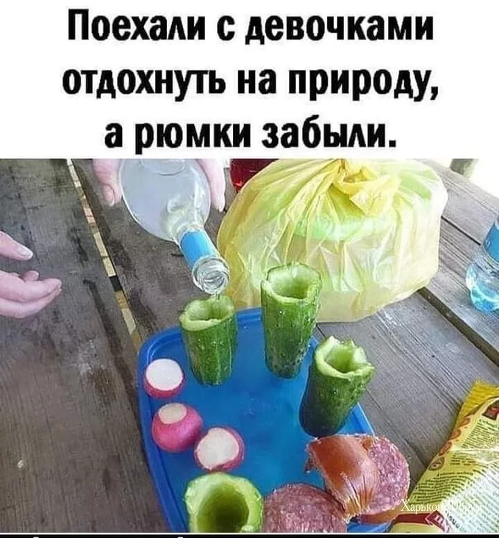 c2ef292cd635b08174.webp