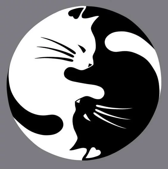 C2y07oFXAAAgby8.webp