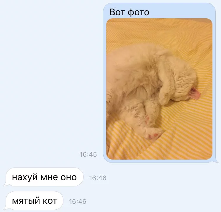 C2YJGjHXgAAvzk0.webp