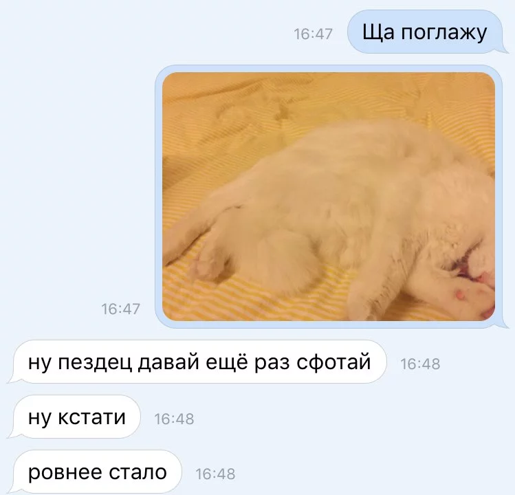 C2YJGjIW8AAdby4.webp