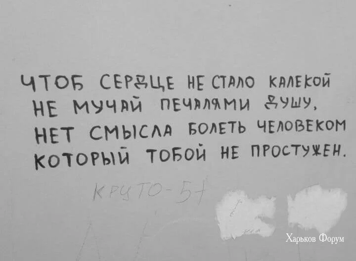 c3070928be2e736ce.webp