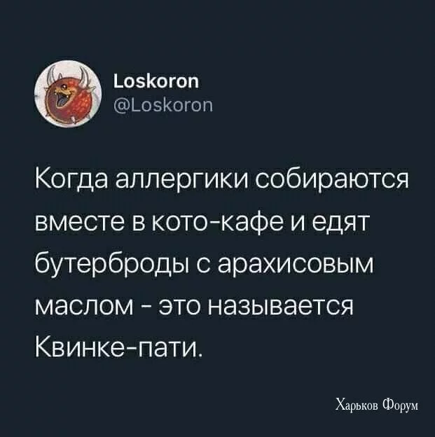 c3117f15804a441b7.webp