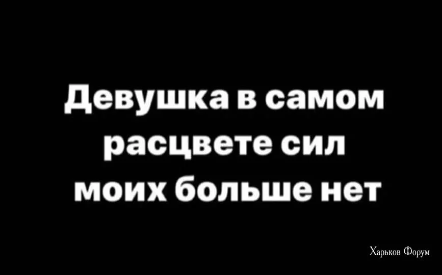 c32549a12b052a34865fce04.webp