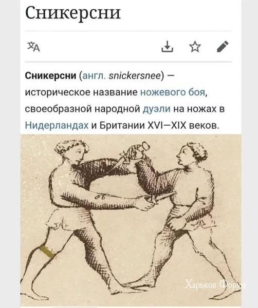c328631fd402850276.webp