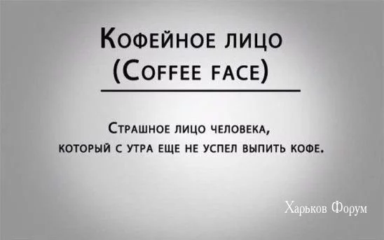 c32c2ab2ba0d5fa8894.webp