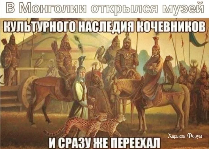 c3351d169772e0a510510a7.webp