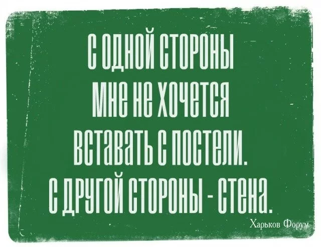 c3368359f80fdbcd45.webp