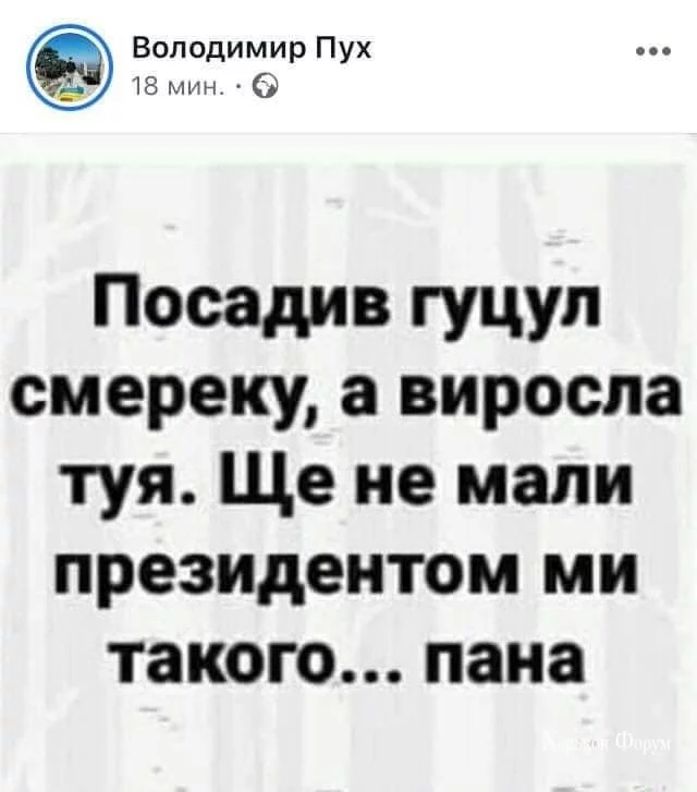c3405c2b60c9cf7a5506dd6.webp
