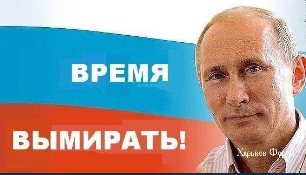 c347758259bf6d169a5.webp