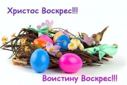 c36658cf34c20e1318a6d3187dd8fd28.webp