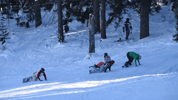 c368c2ac0b6b315b73.gif