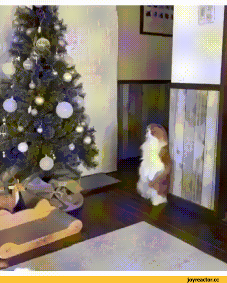 c36bec3eacc7d1d94.gif