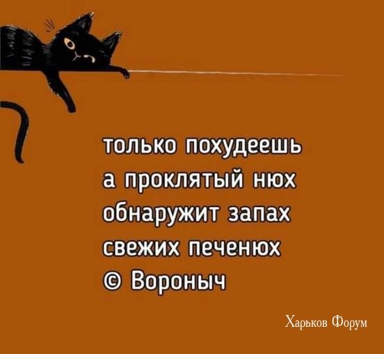 c3ae28854a550f10e0.jpg