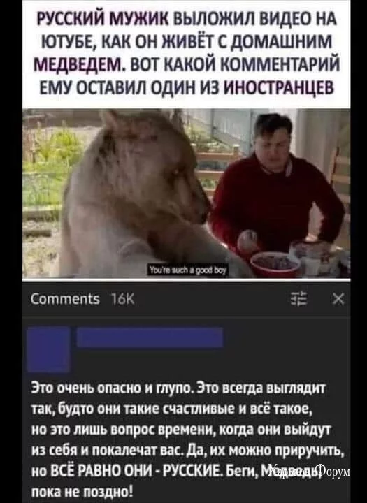 c3c8982e1da4f34e40a14.webp