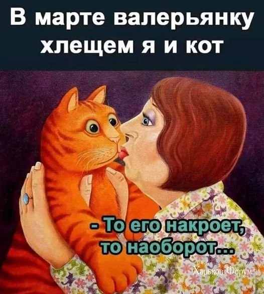 c3d9dd9d5206ced3e.webp