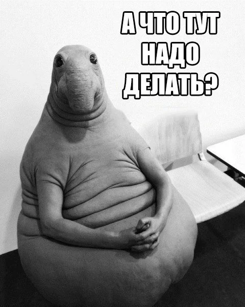 C3FSp7dWEAAr7LY.webp