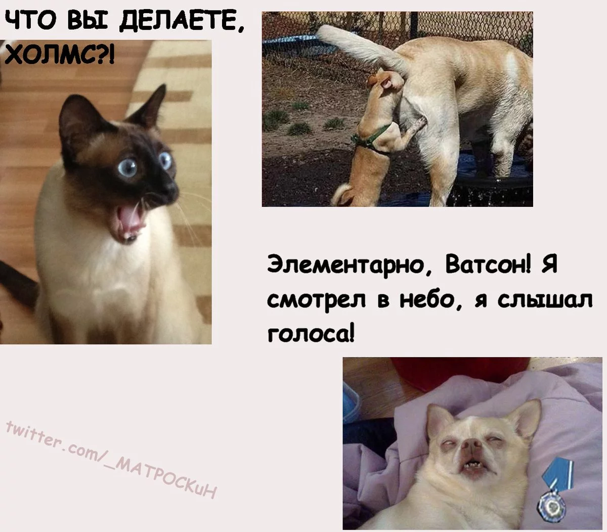 C3GcpHmWEAED18J.webp