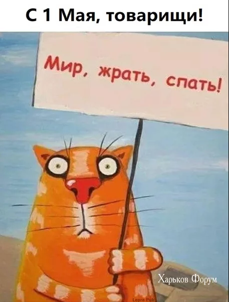 c403d475dc7fa4f8e60.webp