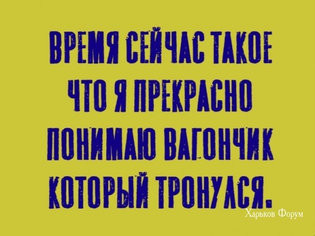 c4052b3c48591e75606c7.jpg
