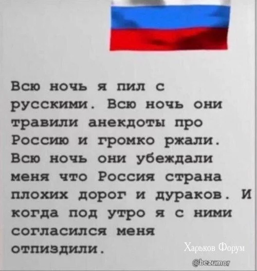 c4081564d138a1d7a2e2b.webp