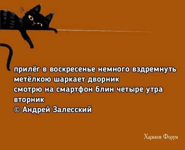 c408a1d4981a454d6705df.webp