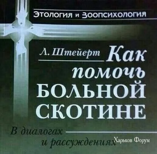 c41086d4fd613a0d1c91777d.webp