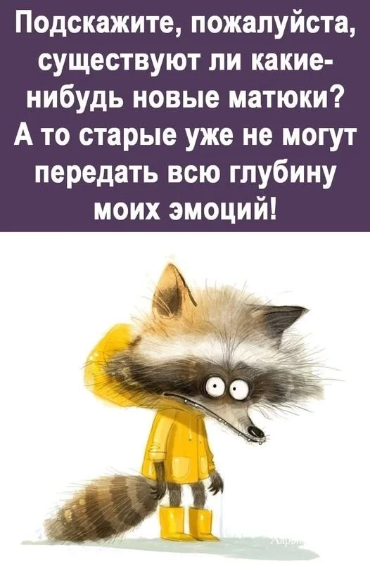 c410c9590c990e312.webp