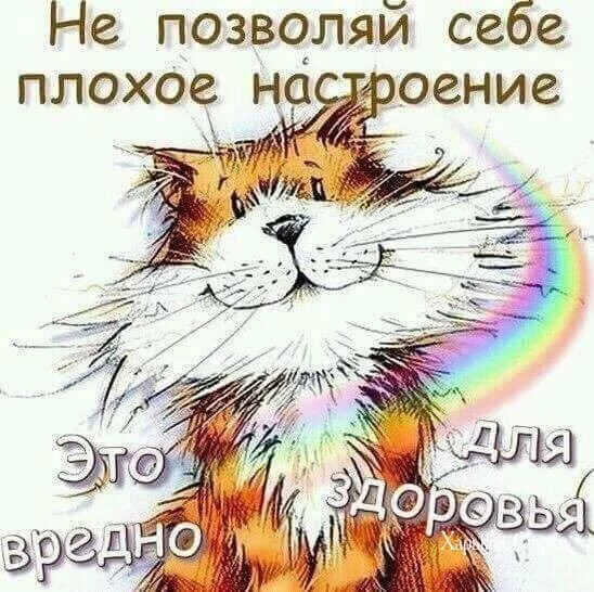 c425245042f36d8b2209a.webp