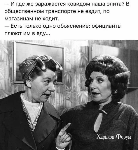 c430abfe85989d57160d7.webp