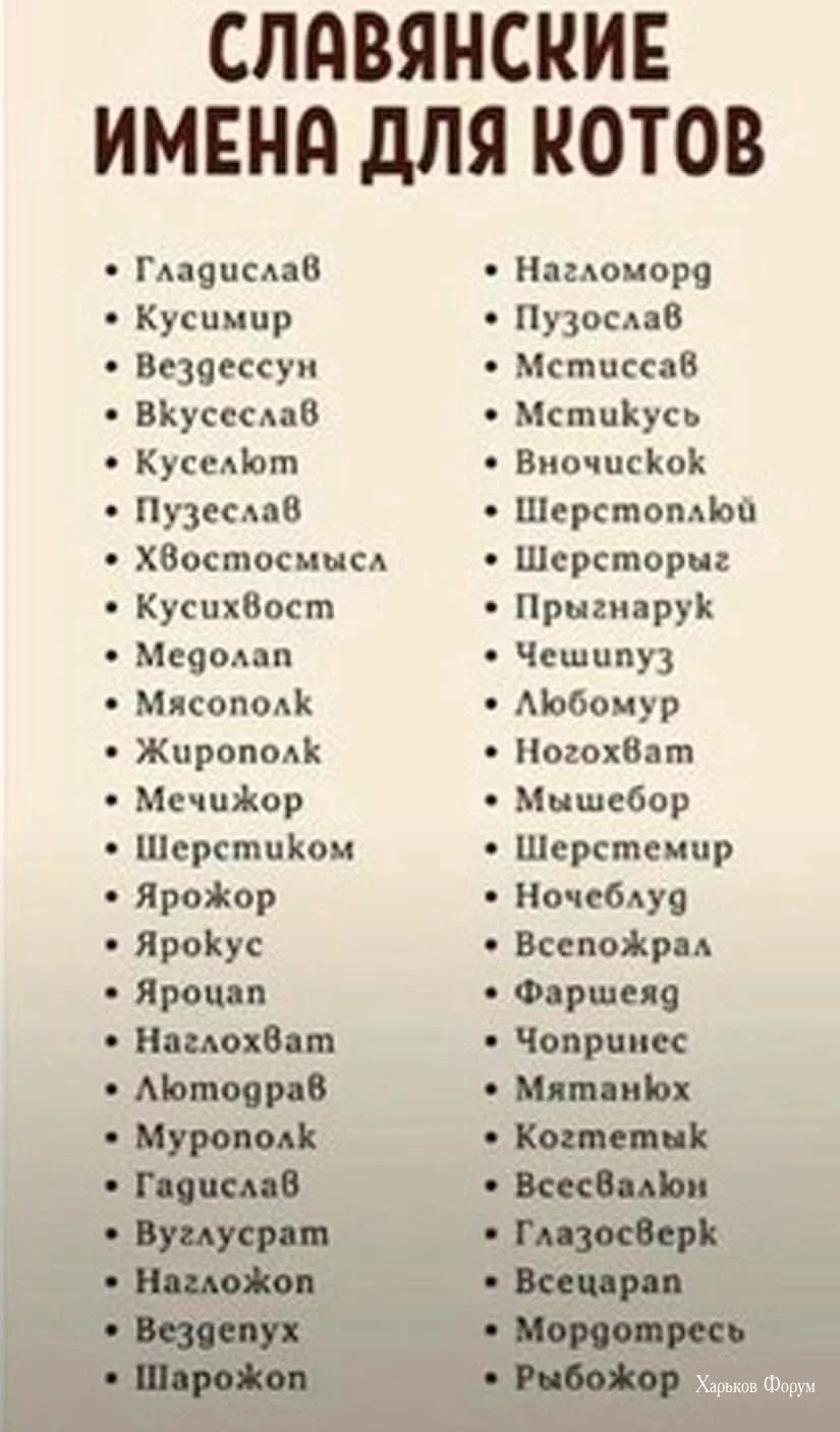 c4313fc19af16d0775c.webp
