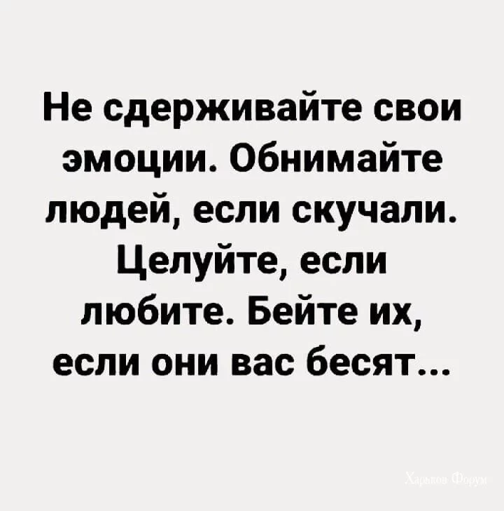 c4521866e21a6f32.webp
