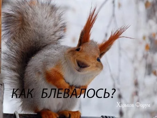 c452a8bb28618ea69ecd3b98.webp
