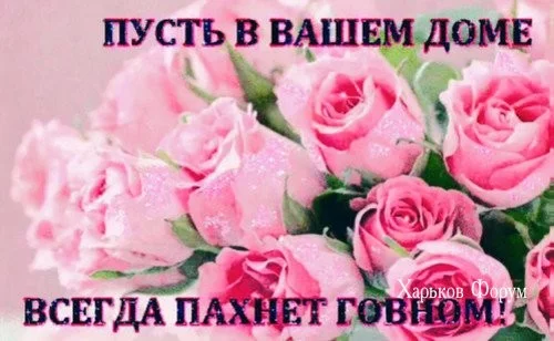 c453d16f9261b8b3b.webp
