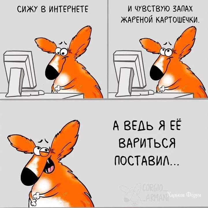 c46980e258a44911743d.webp
