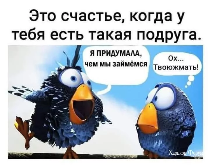c484b3d16a3ce568f4b13.webp