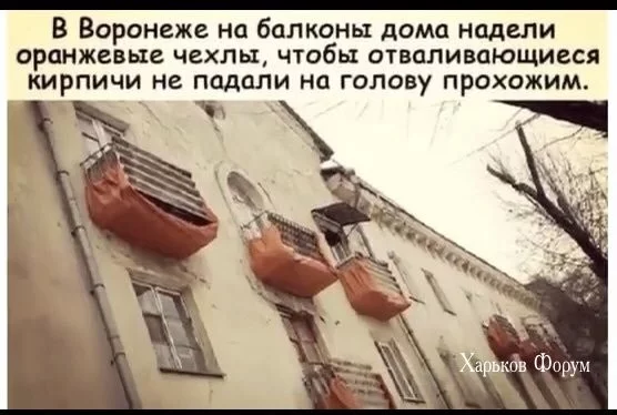 c485400557239f63090e3fd.webp